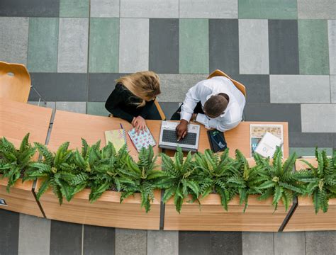 sage pillar confidence booster|Sage launches ‘Knocking Down Barriers’ sustainability .
